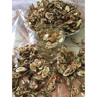 Mướp đắng rừng khô