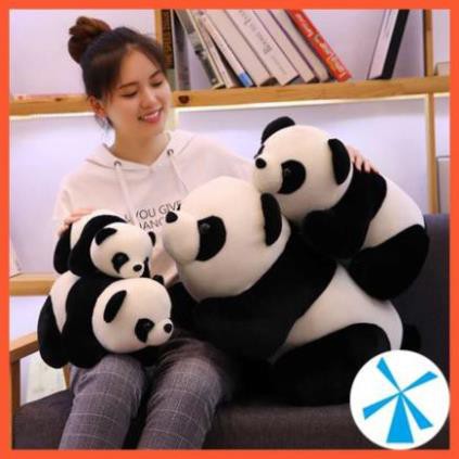 Gấu bông panda- gấu trúc dễ thương nhiều size lớn và nhỏ