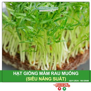 Hạt Giống Mầm Rau Muống Sprouting Radish Hapi Green Gói 100 Gram