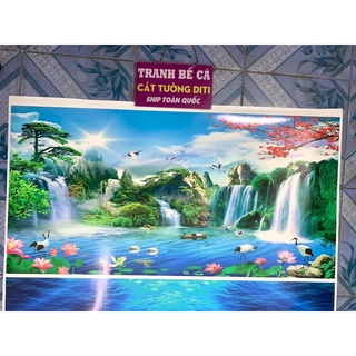 tranh 3d. tranh dán bể cá thủy sinh, bể cá rồng (tranh lưng)