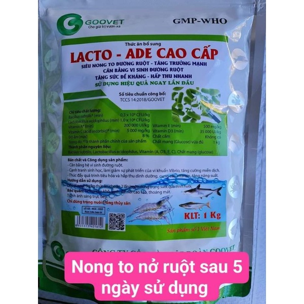 Siêu nong to đường ruột  tôm cá 1kg