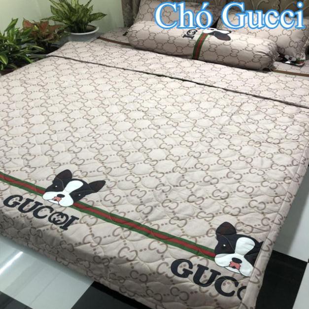 CỰC PHẨM Chăn Hè Cotton Poly Chăn Như Hình (Chất mềm - Được lựa mẫu)