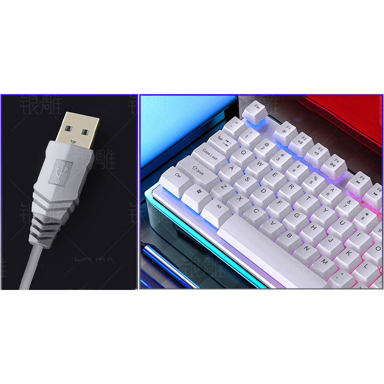 Bàn Phím Máy Tính Gaming SSR Siêu Chất LED , Độ Nhạy Cực Cao,Sản Phẩm Đạt Tiêu Chuẩn ESPORTS Bảo Hành 3 THÁNG