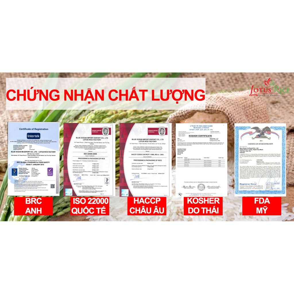 Gạo Thơm Lài Lotus Rice 5kg - Thơm ngon dẻo vừa | BigBuy360 - bigbuy360.vn