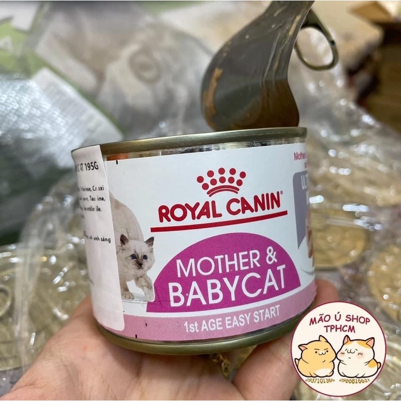 PATE ROYAL CANIN MOTHER &amp; BABYCAT-LON 195g