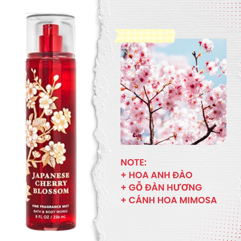 Xịt Thơm Toàn Thân Body Mist Bath And Body Works Japanese Cherry Blossom Tinh Tế Hương Anh Đào Nhật Bản Chai 236ml
