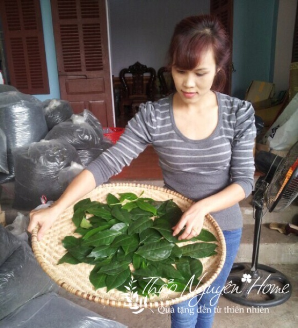 100gr bột trà xanh handmade Tân Cương Thái Nguyên chọn lọc