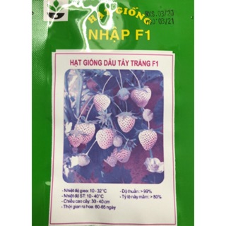 Hạt giống Dâu Tây Trắng 100H