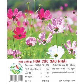 Hạt giống Hoa Cúc Sao Nháy