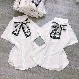 Áo sơ mi kèm nơ tay ngắn