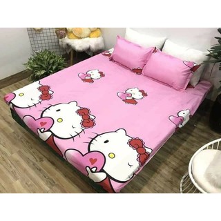 1 GA 2 VỎ GỐI COTTON POLY