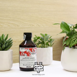 Dầu gội đầu chống rụng tóc Davines Naturaltech Energizing 250ml | Nhập khẩu từ Ý