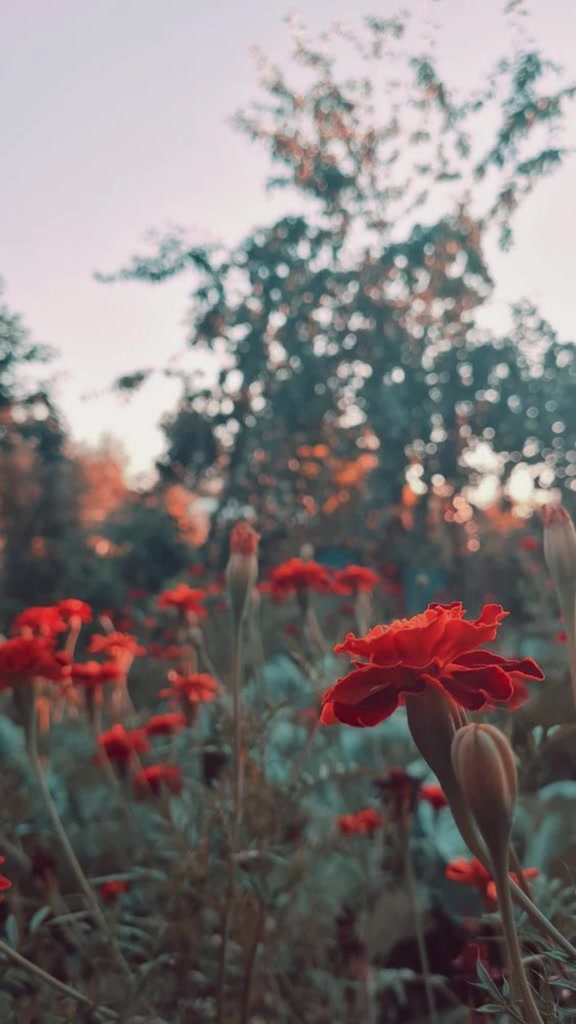 Sách - Quân vương - Thuật cai trị | BigBuy360 - bigbuy360.vn