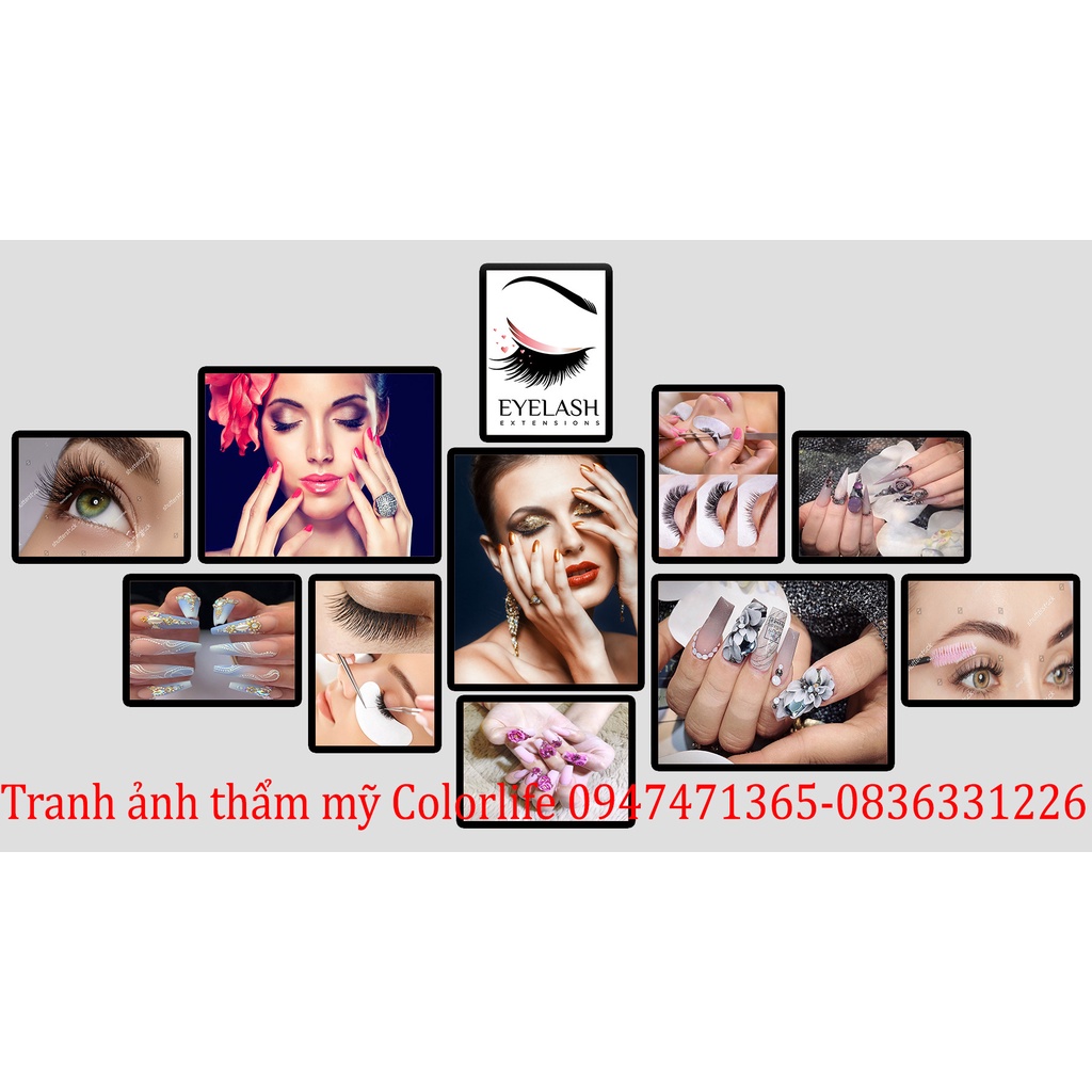 TRANH NAIL MI TRANG TRÍ TIỆM NAIL SIÊU ĐẸP GIÁ XƯỞNG SEONAIL3 ÁNH DƯƠNG | BigBuy360 - bigbuy360.vn