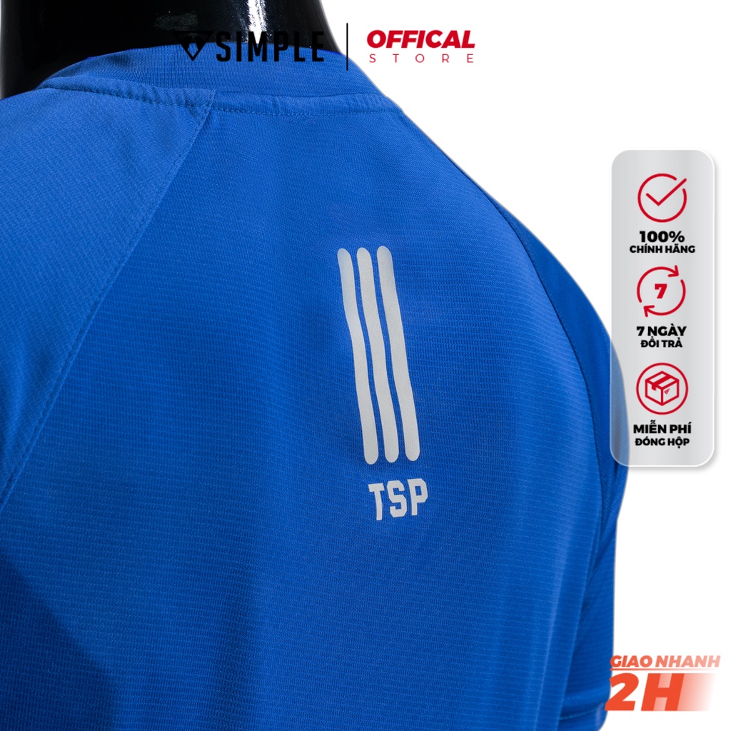 Áo Thể Thao Nam TSIMPLE cổ tròn tay ngắn tập gym vải thun lạnh thoáng mát co giãn chuẩn form AHRBC | BigBuy360 - bigbuy360.vn