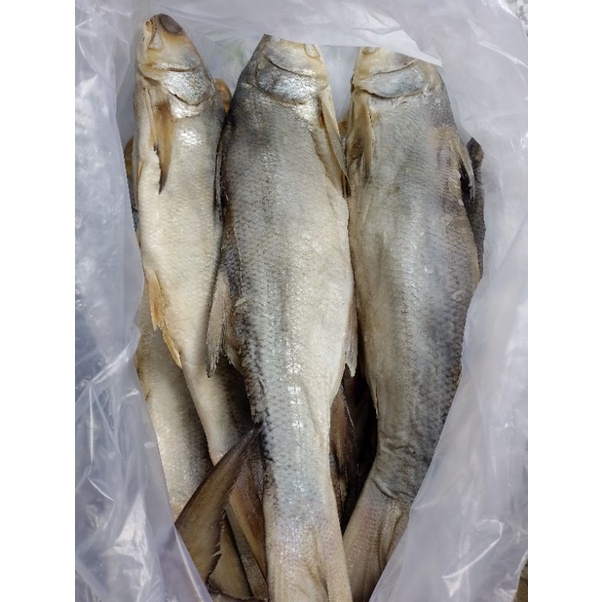 KHÔ CÁ CHÉT MUỐI DÙI 6-700gr/1con