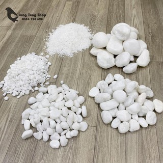 [ Nhiều size ] Đá sỏi trắng trang trí ( chọn size )
