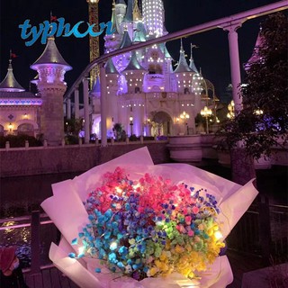 Đèn Đom Đóm Decor, Đèn LED Trang Trí 2m DN2M