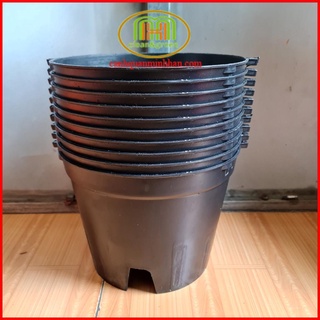 Combo 10 chậu nhựa đen trồng lan phi 12