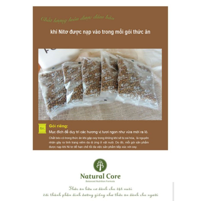 [Kèm deal 0Đ] 1kg thức ăn cho chó nhạy cảm vị cá hồi NATURAL CORE