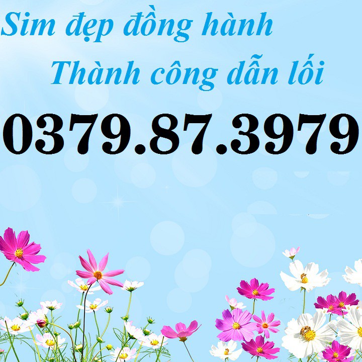 SIM SỐ ĐẸP VIETTEL PHONG THỦY, SIM THẦN TÀI LỘC PHÁT