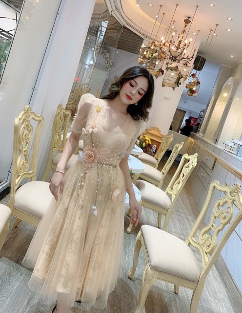 Đầm xoè Công Chúa kết hoa nổi phối ren hoa nổi Sang Trọng - có size M/L đến 58kg - MS208VMM MM
