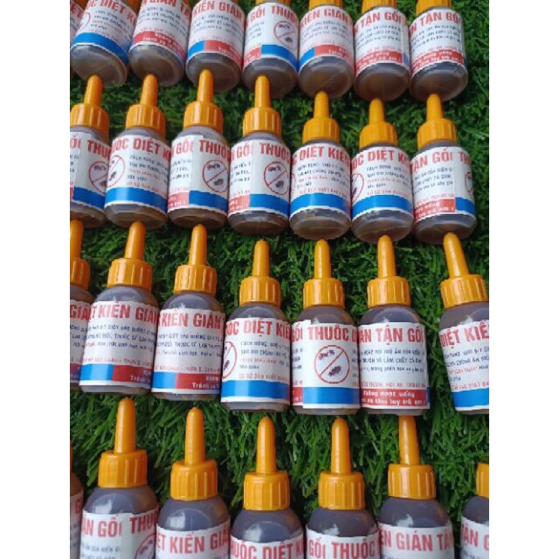 Thuốc xịt kiến gián sinh học