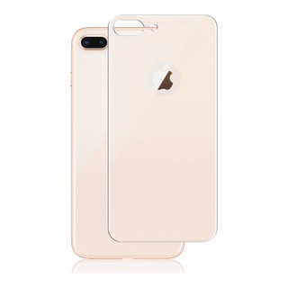 Kính cường lực mặt sau iPhone 7 Plus/ 8 Plus
