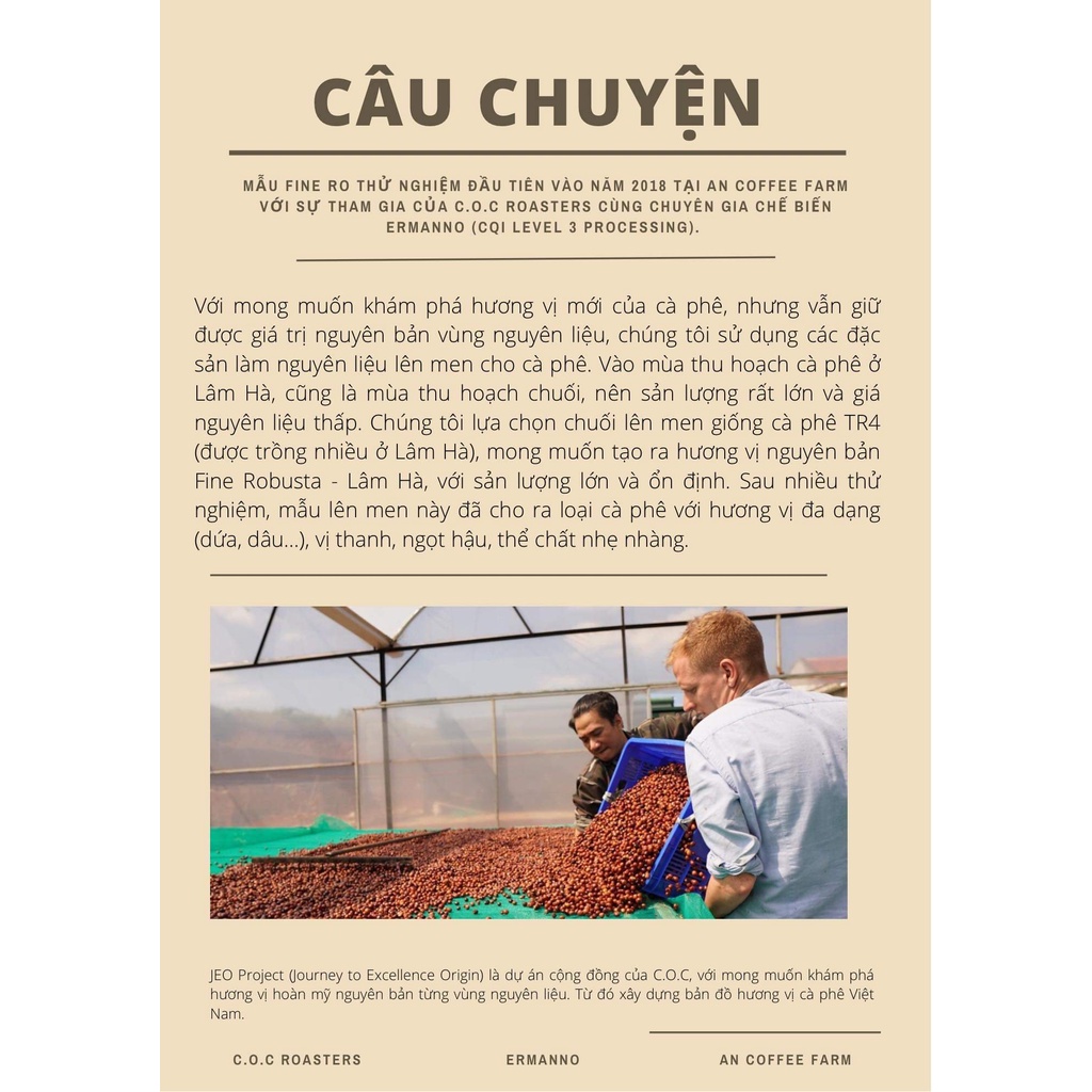 Fine Robusta Cà phê nguyên chất C.O.C Saigon chuyên pha phin, pha máy, pour over