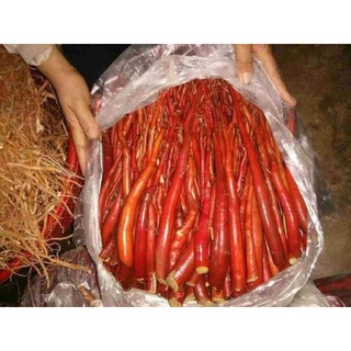 1KG SÂM CAU ĐỎ RỪNG TÂY BẮC