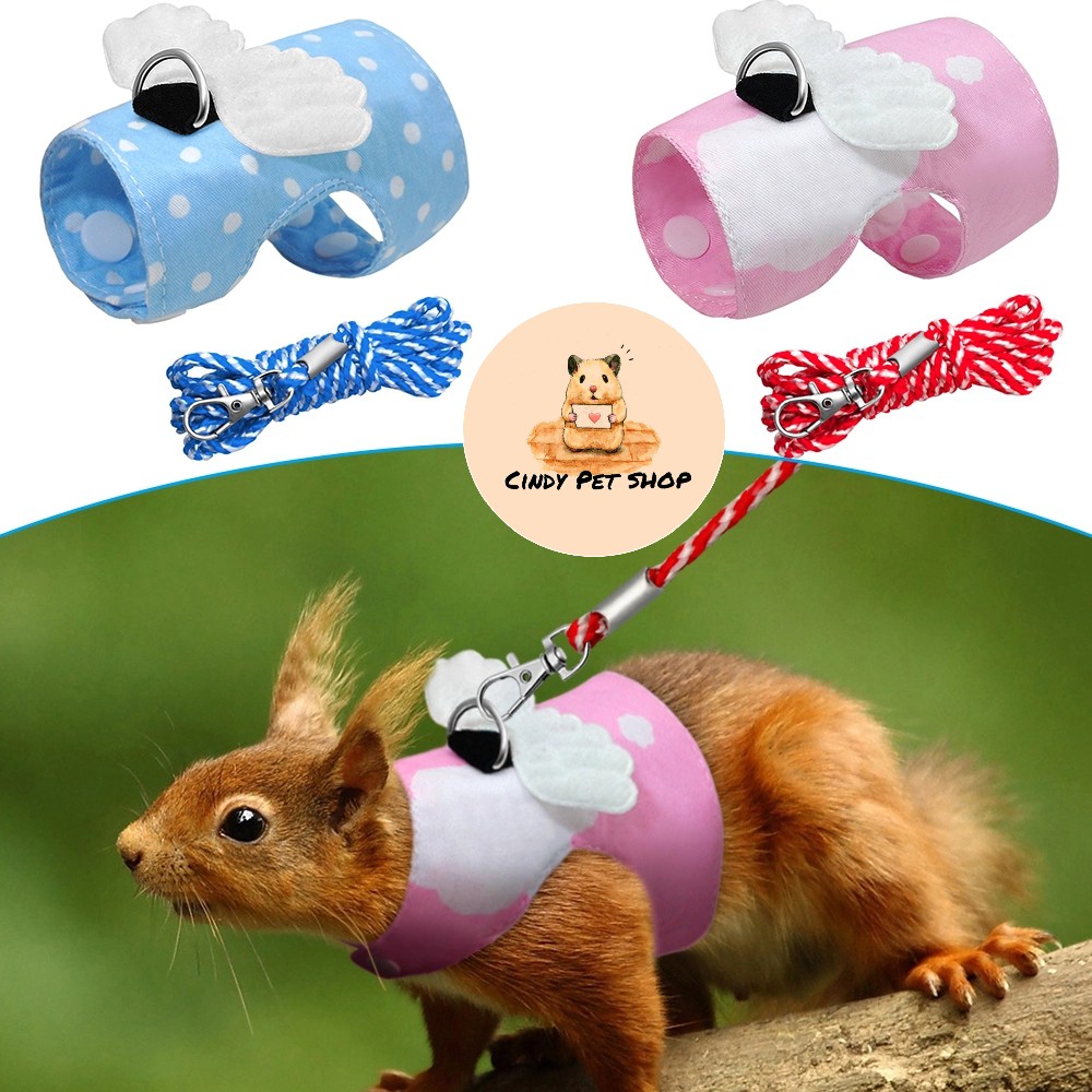 Yếm vải kèm cánh + dây dắt cho Hamster Bear, Sóc Bông, Sóc Đất, Bọ, Sóc Bắc Mỹ, Dumbo Rat...