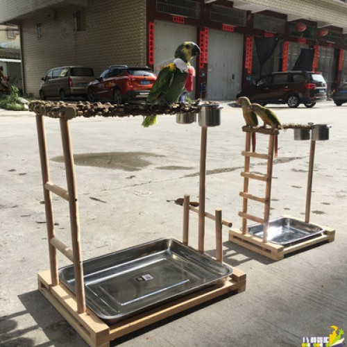 Cầu đứng có thang leo cho vẹt