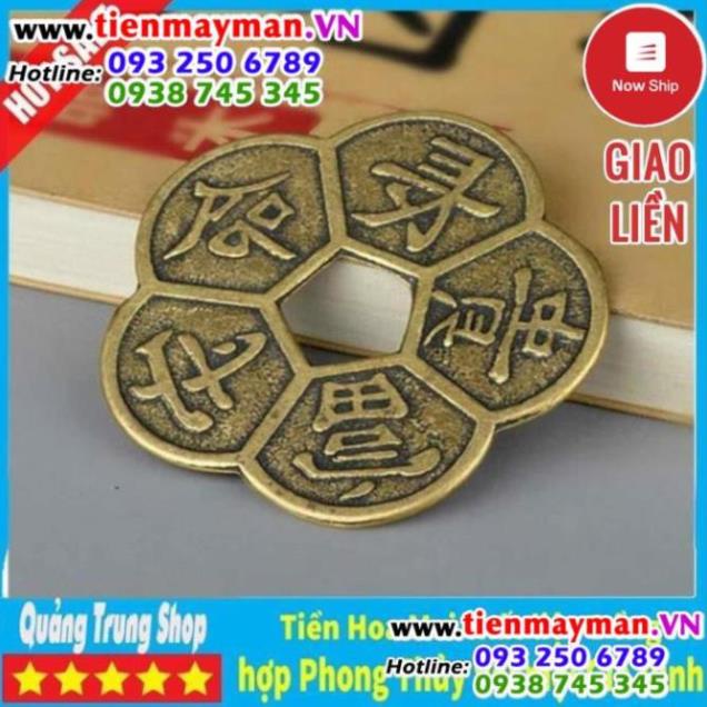 Đồng Tiền Hoa Mai ⭐FREESHIP⭐ Xu Kim Tiền Tài Lộc