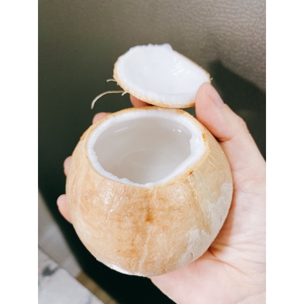 Combo 5 trái dừa xiêm Bến Tre gọt trọc