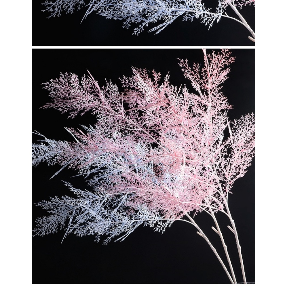 Cành điểm đuôi chồn cao 55cm