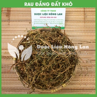 Thảo dược CÂY RAU ĐẮNG ĐẤT khô sạch đóng gói 500gram - congtyduoclieuhonglan