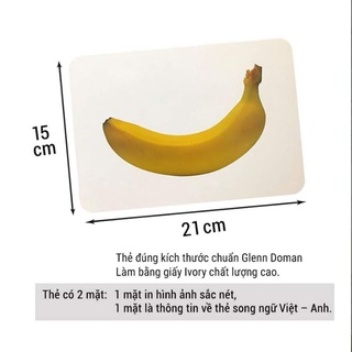 COMBO 3 Bộ thẻ học tập gồm (bộ thế giới xung quanh 300 thẻ, bộ học toán, bộ tiếng viêt)