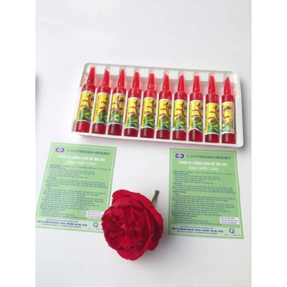 1 Ống Thuốc kích rễ cực mạnh cho HOA và CÂY