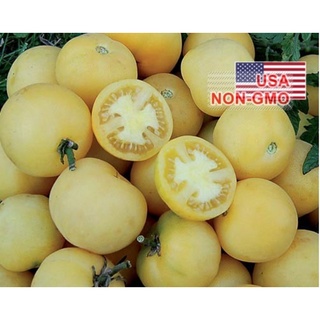Hạt Giống Cà Chua - Trắng Bi Lowa (Solanum Lycopersicum) - Gói lớn nhiều hạt - Tặng gói kích nảy mầm