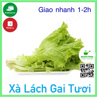 Rau Xà Lách Gai Đà Lạt Tươi, Rau Củ Quả Tươi Giao Nhanh 1-2h( HCM)