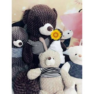Gấu bông Teddy 1M6