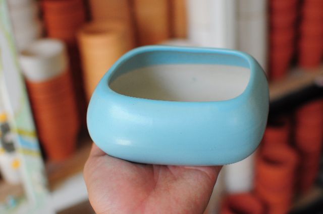 Chậu asa thấp 12x8 cm