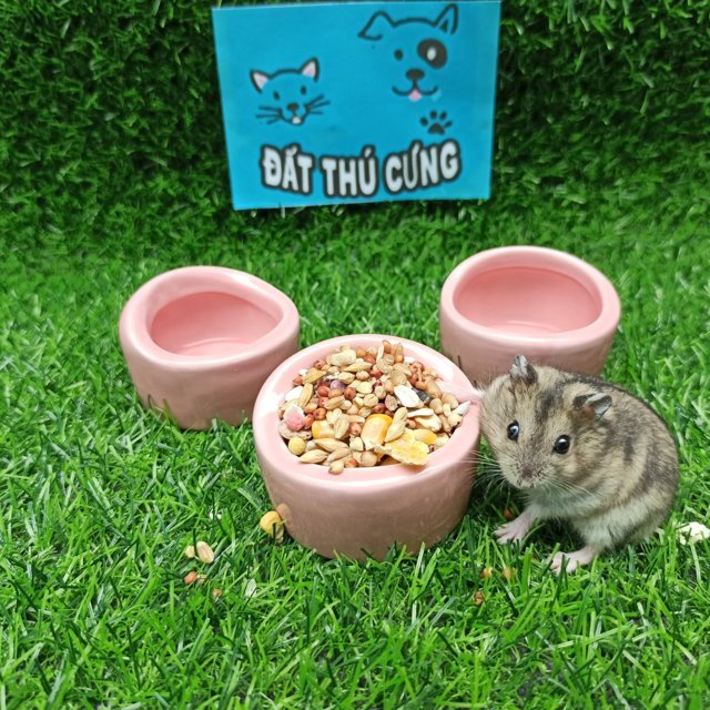 Chén ăn sứ hamster hình mái vòm