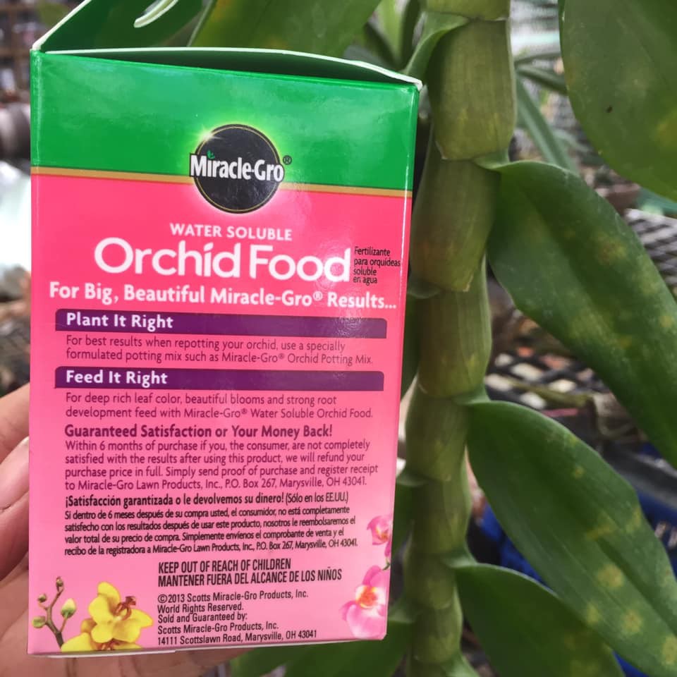 Miracle-Gro Water Soluble Orchid Food, 8 oz (226g)