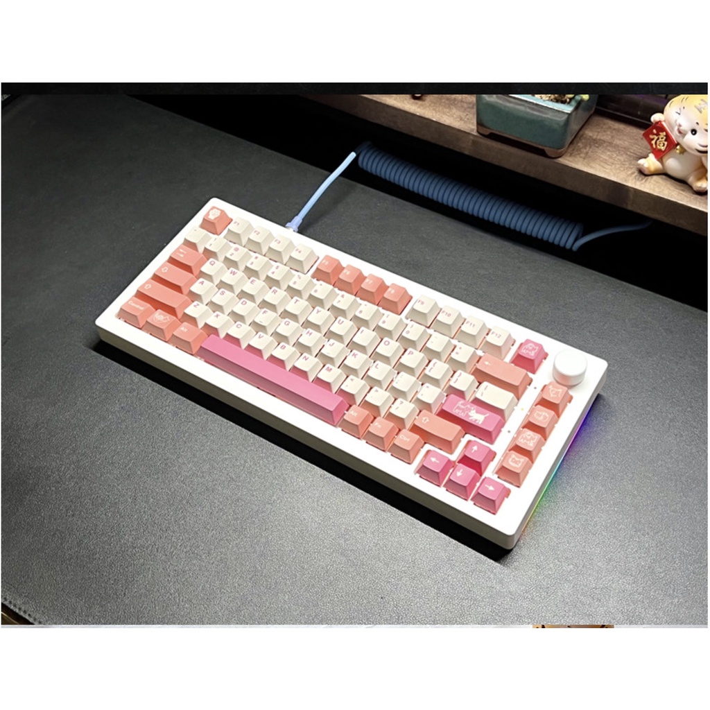 Set Keycap PBT Orange Boi 146 Phím