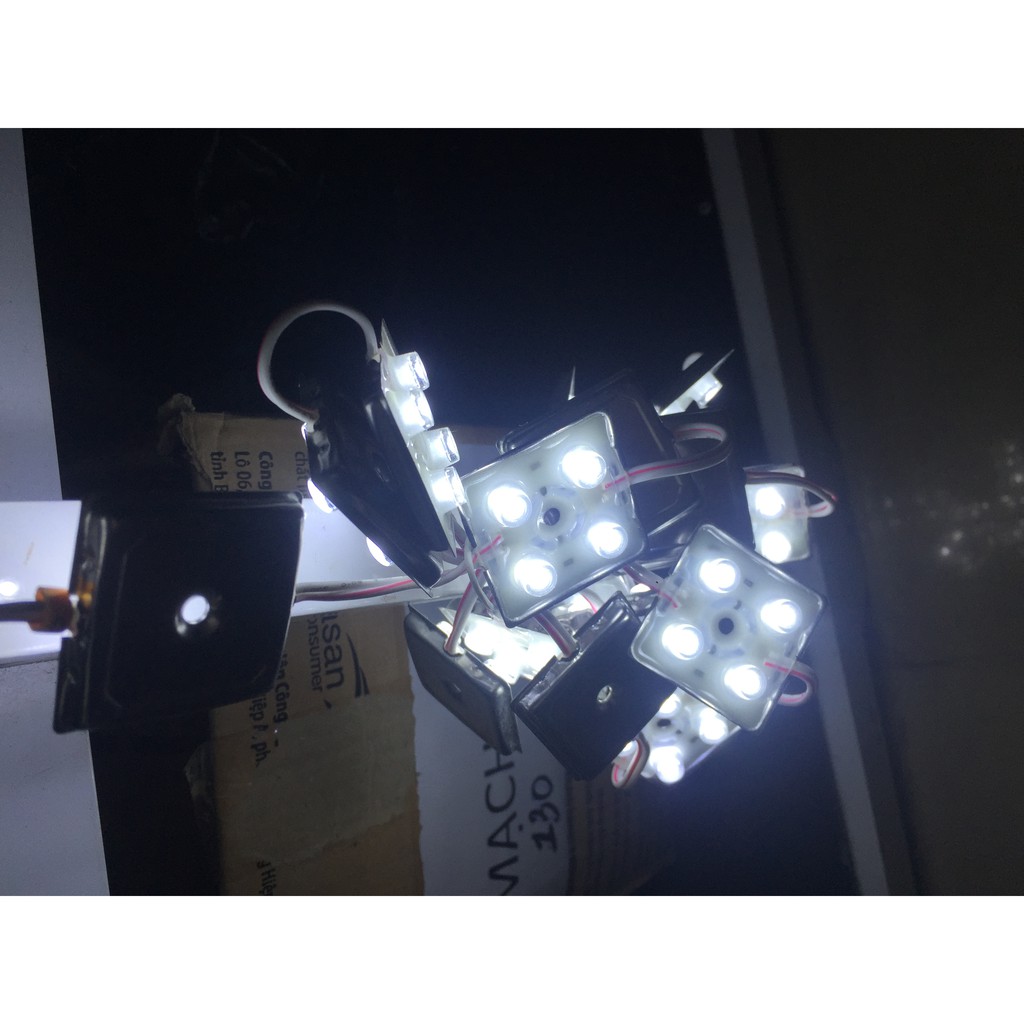 4 Bóng đế sắt lồi 12V Màu Trắng Ngoài trời (1 dây 20 bóng),4 Bóng Đế Sắt12V,bóng 12V