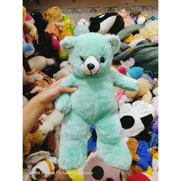 Teddy gấu bông dễ thương size 40_50cm