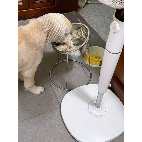 TÔ CHÉN INOX CHO CHÓ MÈO - BÁT ĂN TREO CHUỒNG - CHÉN TREO LỒNG - CHÂN ĐẾ CHỐNG ĐỔ TÔ INOX