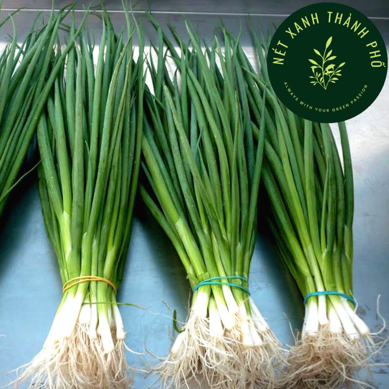 Hạt giống hành hương chịu nhiệt, 2gr