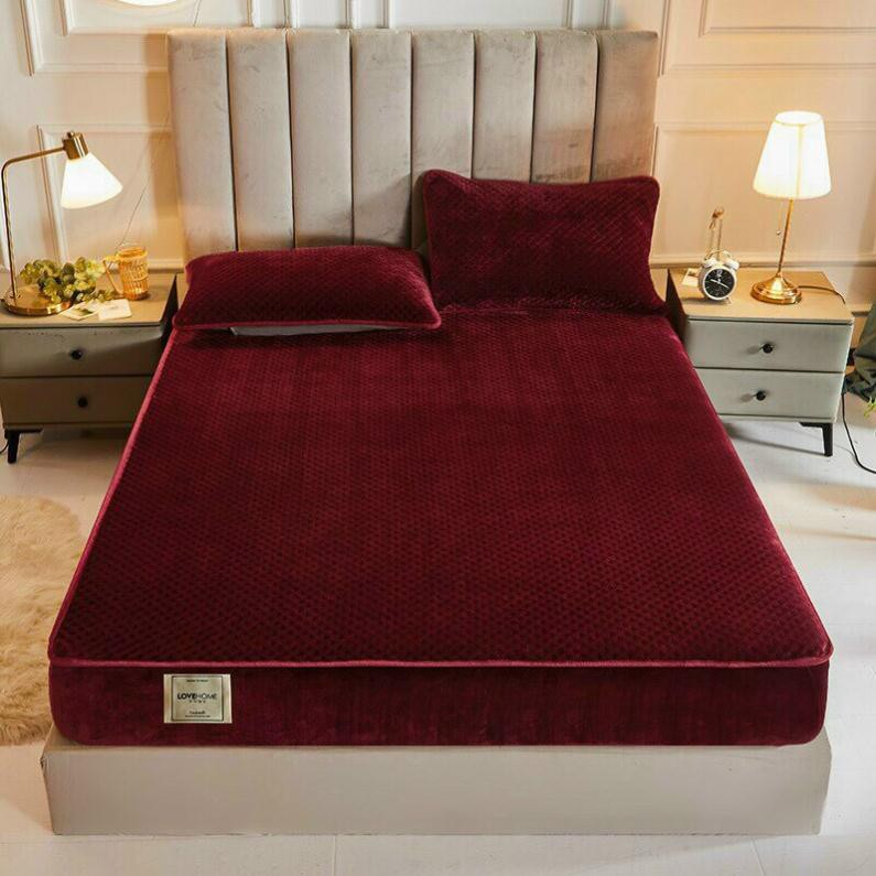 Bộ ga gối nỉ nhung ong 3 món 1m6x2m